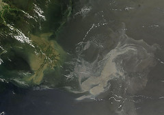 Oil Slick in the Gulf of Mexico May 17th View ...