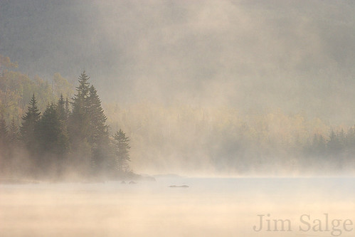 Mist Catching the Sun - Flat Mountain Pond