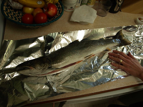 Getting the Dolly Varden ready for Dinner