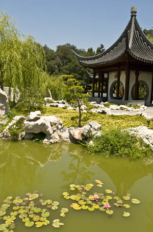 Chinese Garden at The Huntington