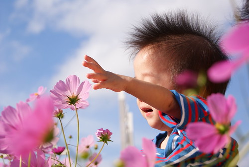 baby catches a flower