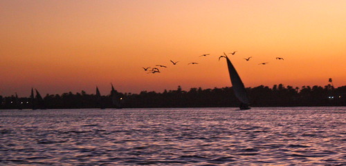 Luxor - Nile Sunset - 80