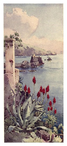 015- Aloes rojos en Madeira-The flowers and gardens of Madeira - Du Cane Florence 1909