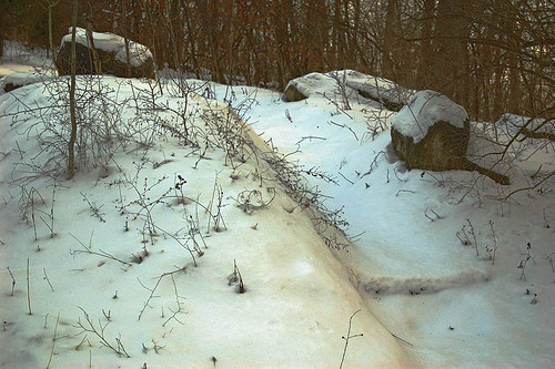 Emmenegger Nature Park, in Kirkwood, Missouri, USA - snow-covered trail
