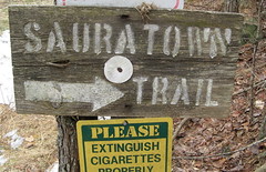 Rustic looking trail sign