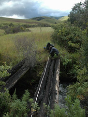 Measuring the Old North Rumphi Bridge, Nyika National Park