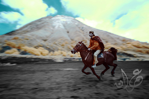 Bromo Horse Rider