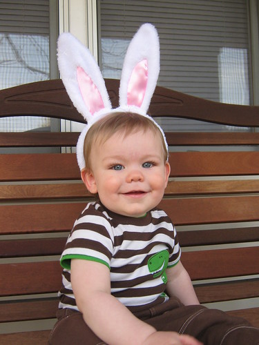 brody the bunny