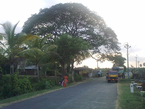 Periyapalam bus stop - Entrance to my village!
