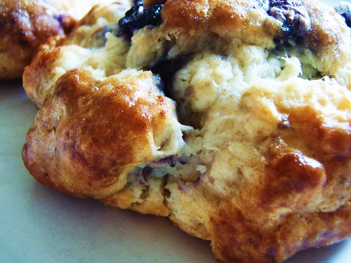 51 - english cream blueberry scones