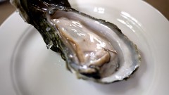 coast seafood - oysters by foodiebuddha