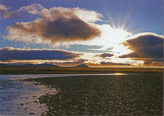 Natural System of Wrangel Island Reserve (Russia)