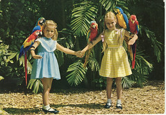 Parrot Jungle - Miami (1968)