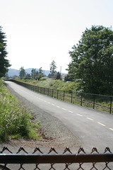 Looking west at the start of the trail