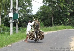 Firewood transport