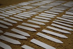 Plant Labels Drying