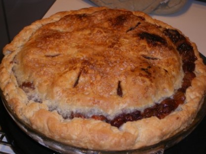 2010 Pi Day Rhubarb Pie