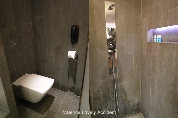 W Hotel Room 3819 洗手台對面的淋浴間、廁所