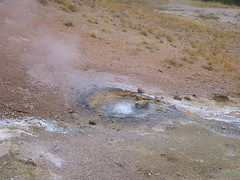 Yet another hot spring at Lone Star.  This one appears to be superheated.