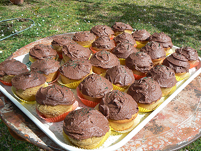 irish cupcakes.jpg