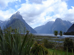 Welcome to Milford Sound