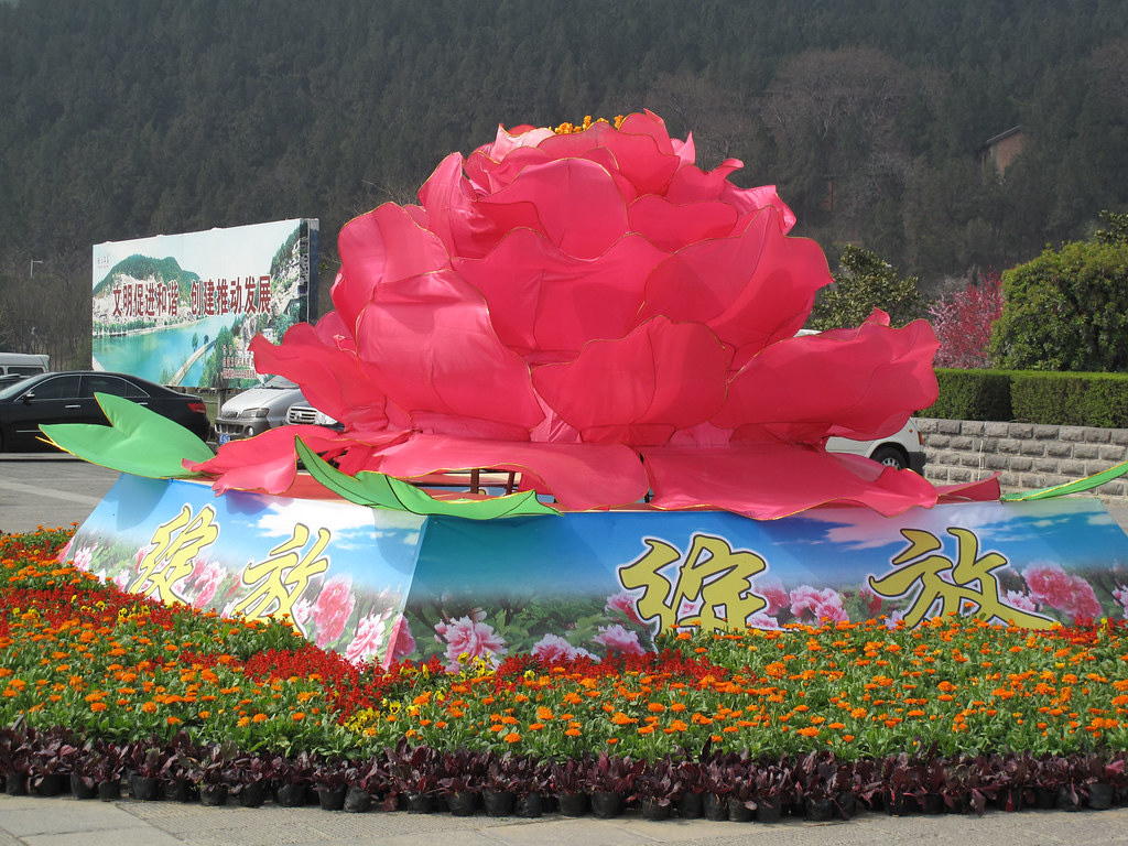 Peony festival in Louyang