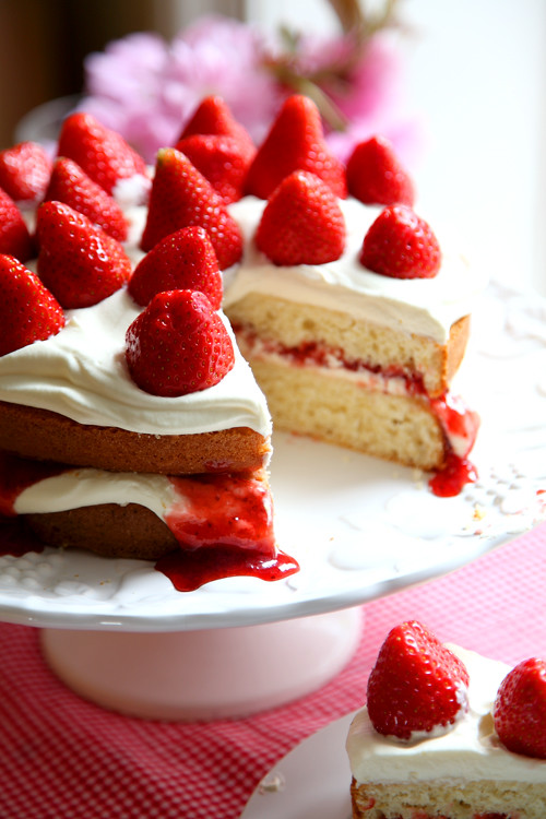 :: Mega Strawberry Summer Cake