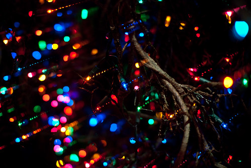 Holiday Lights by Marc