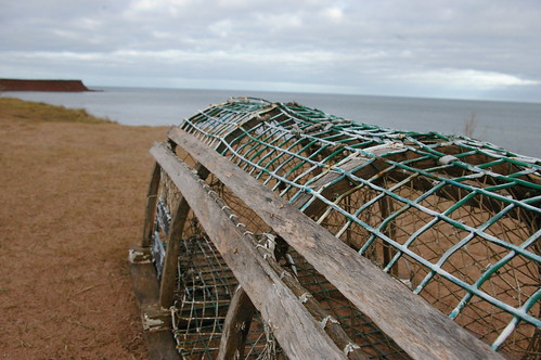 Campbell's Cove trap
