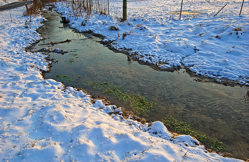 Spring run with watercress at the corner of Smizer Mill and Meramec Station Roads, near Valley Park, Missouri, USA - view with snow