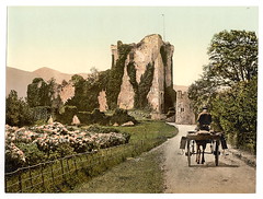 [Ross Castle, II, Killarney. County Kerry, Ireland] (LOC)