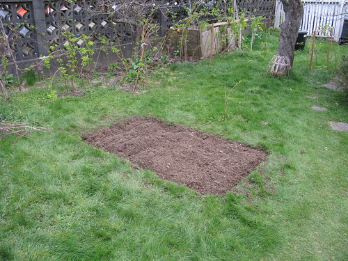 my garden plot at ruth's