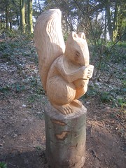 Squirrel Carving, Errington Woods