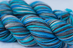 Prolific Seas on Peruvian Higlands Wool- 3.5 oz (...a time to dye)