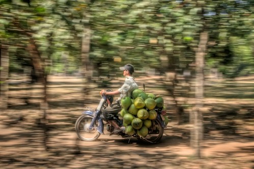 Speeding Coconuts
