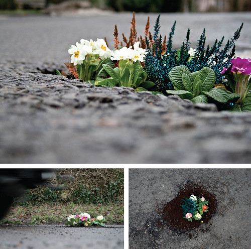 Pete Dungey: pothole gardens