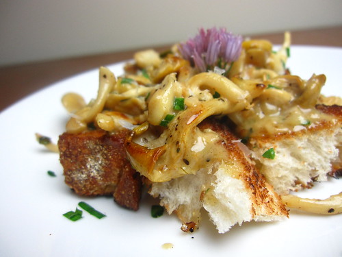 Yellow oyster mushrooms in vermouth cream sauce