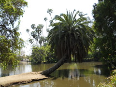 Los Angeles Arboretum