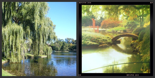 Boston & Brooklyn Botanical Gardens