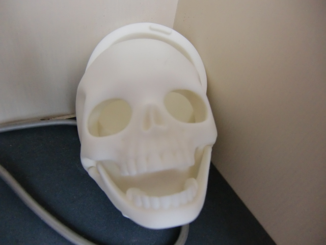 What a lovely skull !!