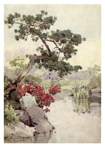 028- Azalea y pino-The flowers and gardens of Japan (1908)-  Ella Du Cane