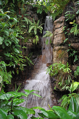 Waterfall in Climatron, at Missouri Botanical Garden (Shaw's Garden), in Saint Louis, Missouri, USA