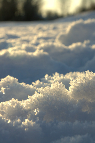 Ice crystals on the snow