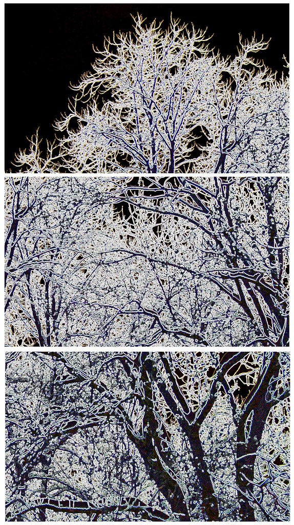 2010 janvier 13 - neige 011 - composition contours lumineux