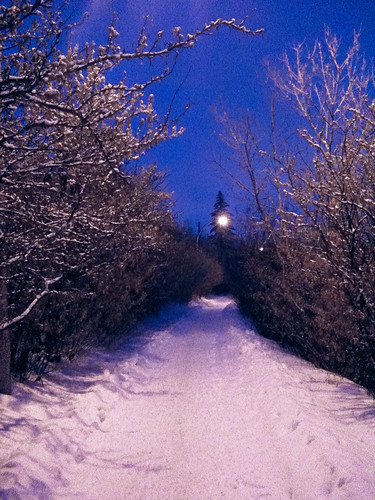 winter stroll