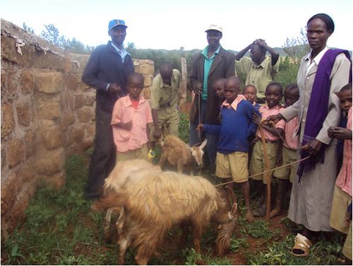 How_Can_We_Help_Orphans_in_Kenya_A