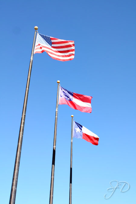 three of six flags