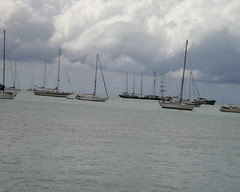 Lots of sailing yachts