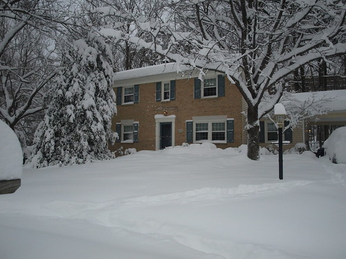 February 2010 snowed in