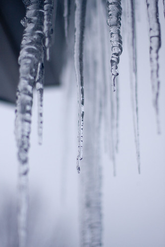 icicles 024-1